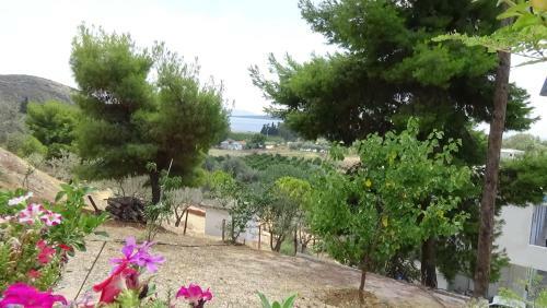 Alexandros Apartments