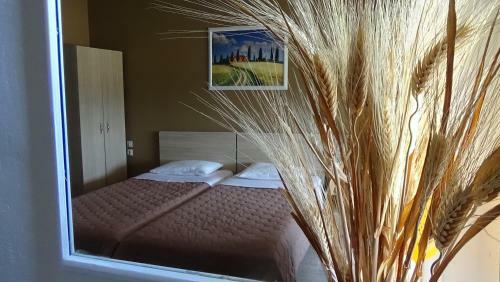 Alexandros Apartments
