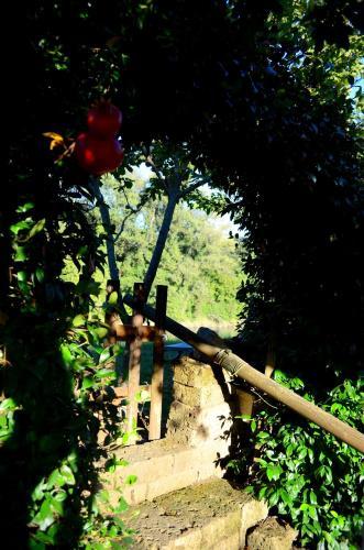 Bed & Breakfast Corte Garberia