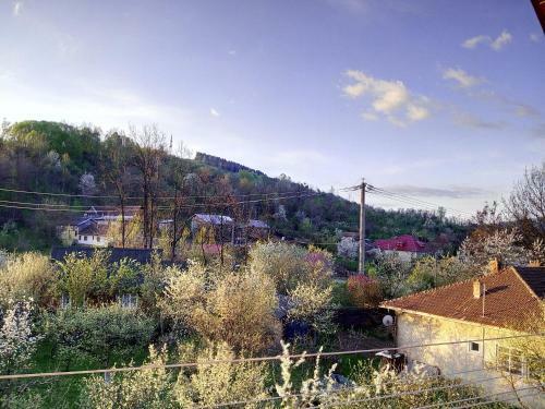 Hostal Vila Slanic
