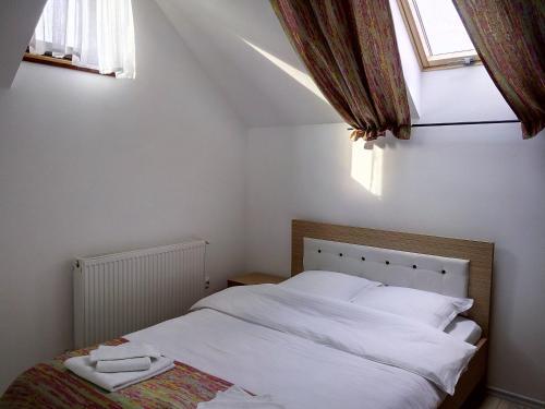 Hostal Vila Slanic