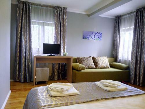 Hostal Vila Slanic