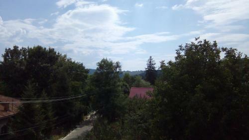 Hostal Vila Slanic