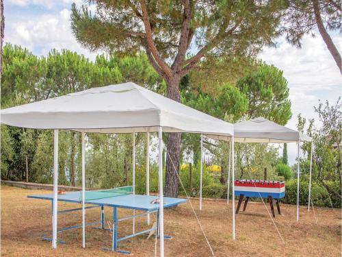 Apartamento Teodoro 5