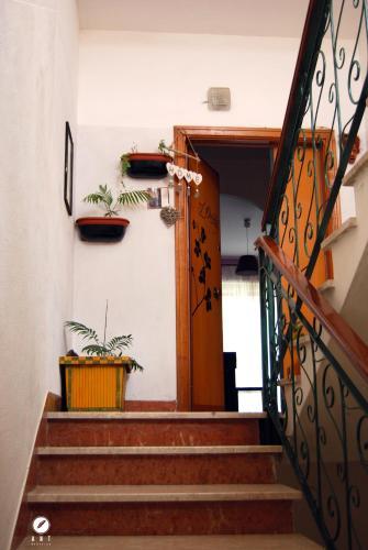 Bed & Breakfast L'orchidea