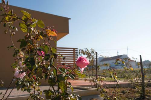 Agroturismo Entre Vinhas E Mar