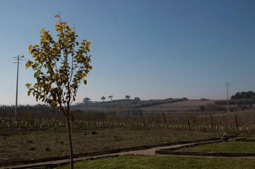 Agroturismo Entre Vinhas E Mar