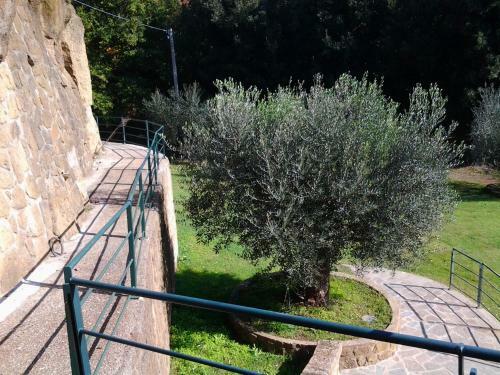 Apartamento Il Borgo Alberato