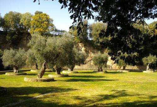 Apartamento Il Borgo Alberato