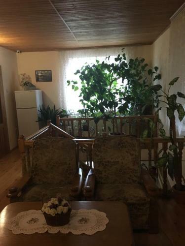 Posada Mini-hotel Oasis