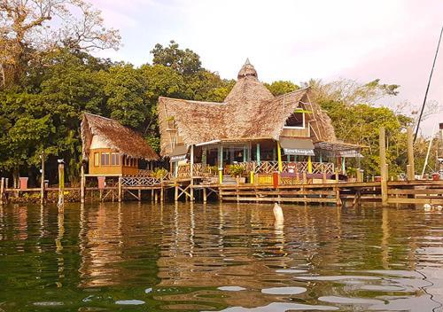 Hotel Tortugal