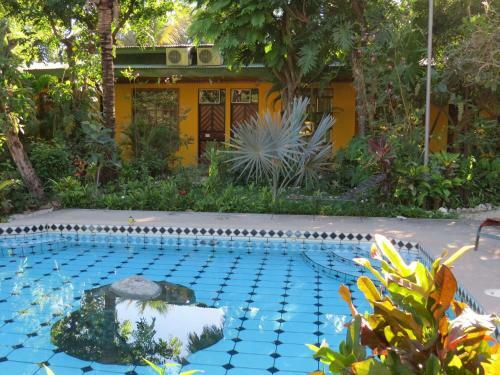 El Mono Loco Hotel