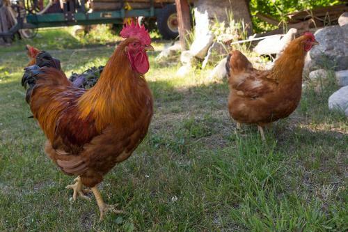 Bed & Breakfast Tynder� G�rd