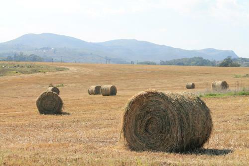 Caba�as Arc�ngeles De Tandil