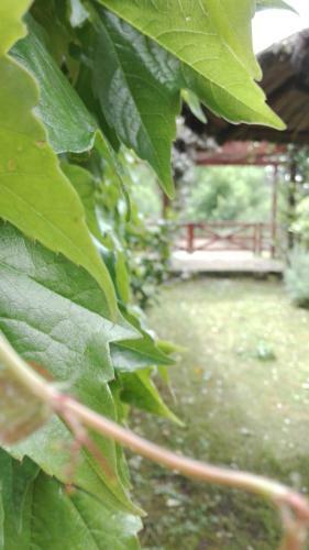 Apartamento Casas Aluen