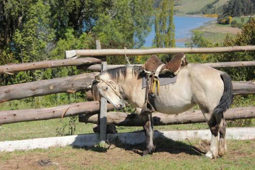 Lodge Refugio Pullao