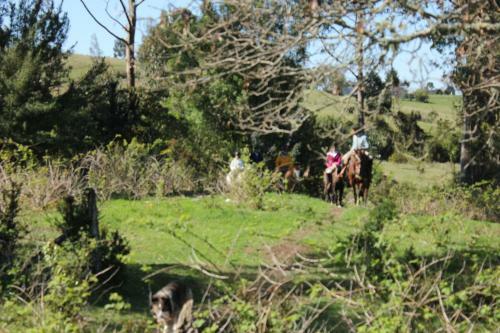 Lodge Refugio Pullao