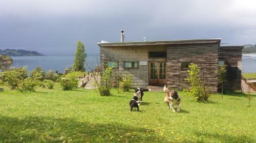 Lodge Refugio Pullao