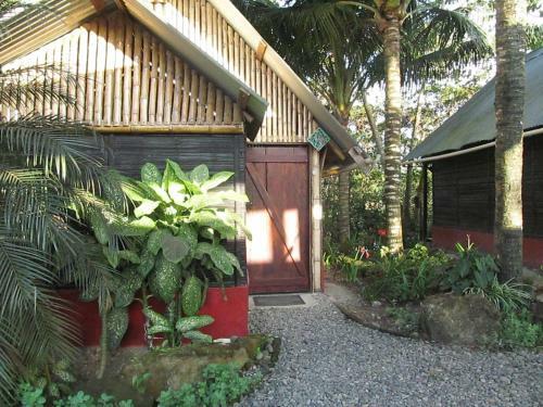 The Mudhouse Hostel