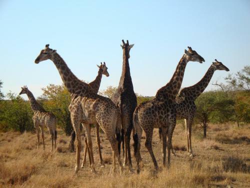 Lodge 57 Waterberg
