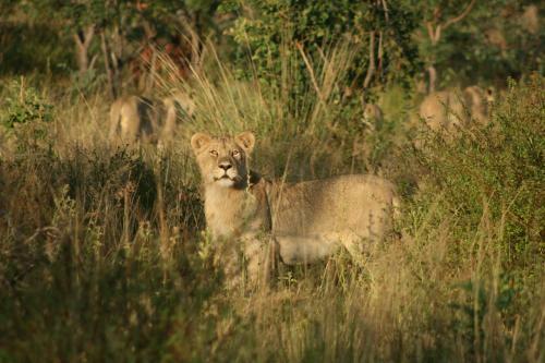 Lodge 57 Waterberg