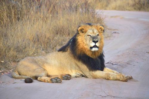 Lodge 57 Waterberg