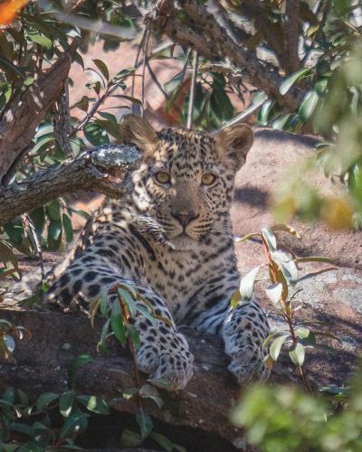 Lodge 57 Waterberg