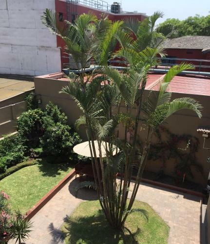 Hotel San Antonio Abad