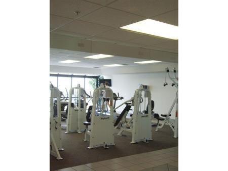 Apartamento Phoenix X 1208