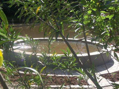 Lodge Fazenda Camping Cabral