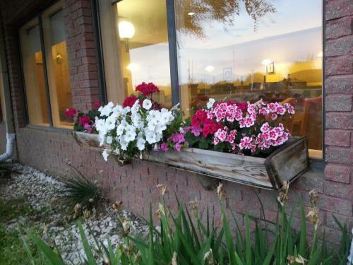 Hotel Caledonia Motor Inn