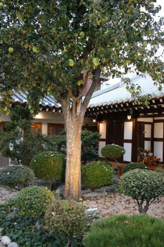 Hostal Taejomaru