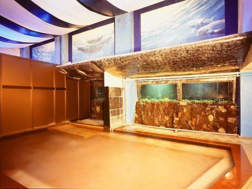 Atami Tamanoyu Hotel