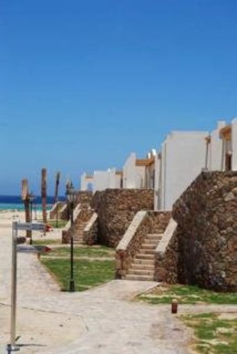 Hotel Gorgonia Beach