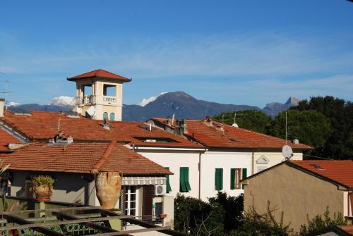 B&B Burlamacco Gold