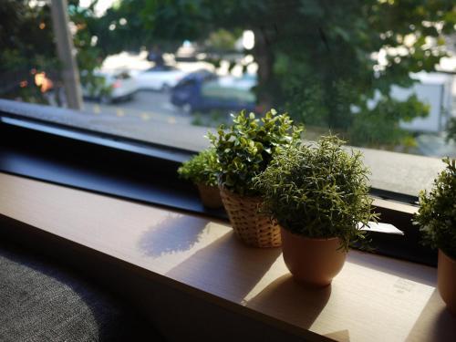 Albergue Loft 8, Hongdae