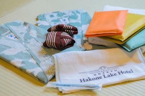 Hakone Lake Hotel