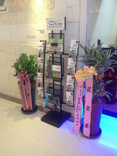 Albergue Chloe Guesthouse Gangnam