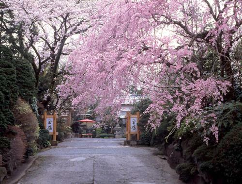 Gyokutei