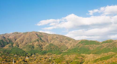 Hostal Hakone Tent