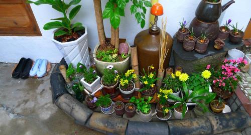 Hostal Hanok Guesthouse 201