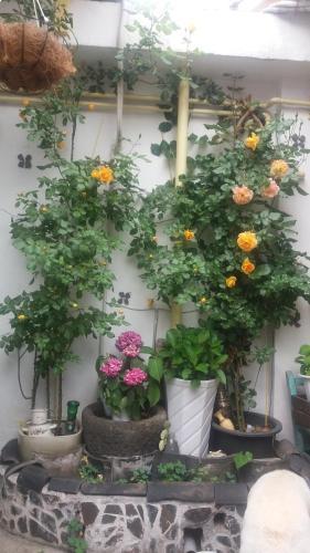 Hostal Hanok Guesthouse 201