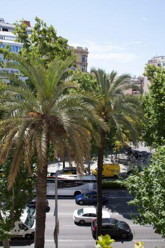 Wow Hostel Barcelona