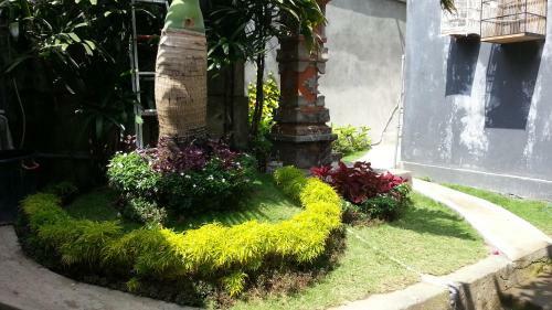 Dstay Kost Bali