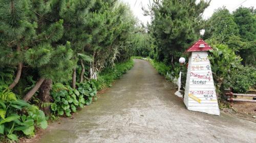 Dreaming Forest Seogwipo