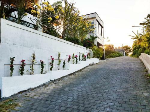 Villa Aviya