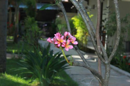 Heavenly Homestay Kuta Lombok