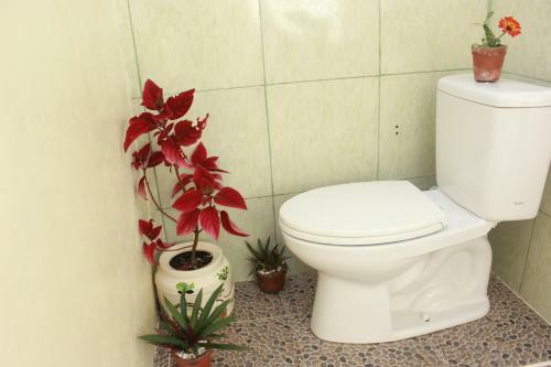 Heavenly Homestay Kuta Lombok