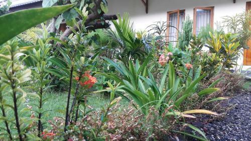 Heavenly Homestay Kuta Lombok