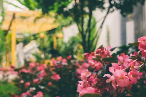 Posada Jue Se Garden Theme Inn